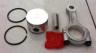 Piston & Connecting Rod Assy