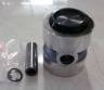 Piston Assy